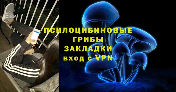 спайс Алзамай